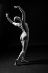 392 - KAROLINA - VAN ROMPAEY DIEDERIK - belgium <div
